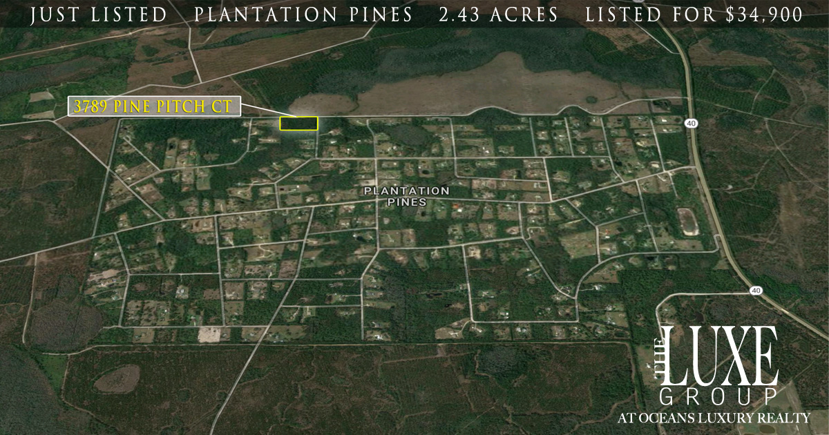 Plantation Pines - 3789 Pine Pitch Ormond Beach - Just Listed - The LUXE Group 386.299.4043